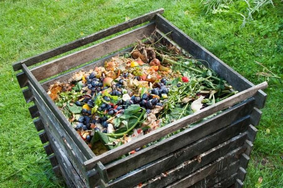 compost